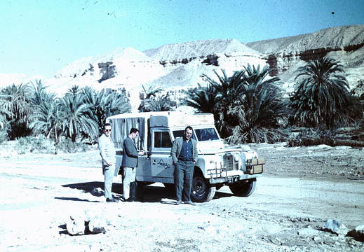Sinai 49